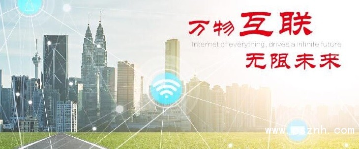 LEEG單晶矽壓力丝瓜IOS在线观看新產品發布，敬請期待！